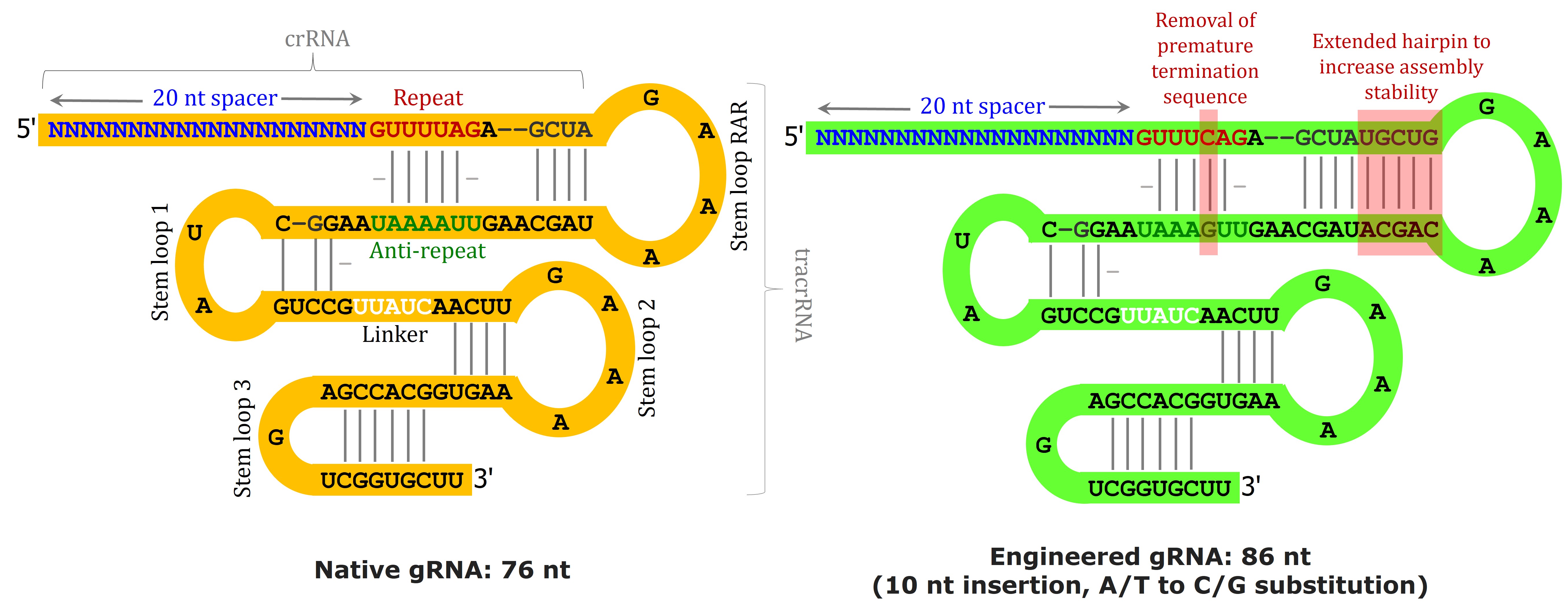 Secondary structure comparison
